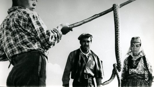 Yılanların Öcü