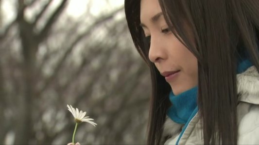 薔薇のない花屋