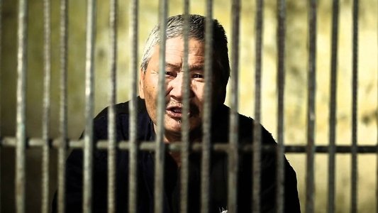Нар сарны зааг