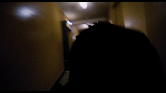 Phantom of the Paradise