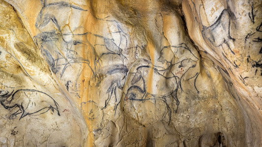 Grotte Chauvet - Dans les pas des artistes de la Préhistoire