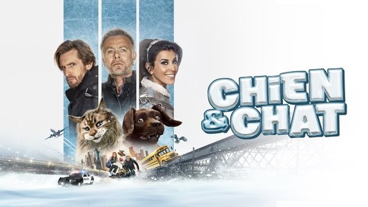 Chien et Chat