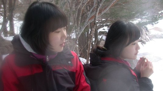 양 한 마리, 양 두 마리