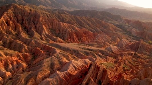 Terre, Les Forces du Vivant