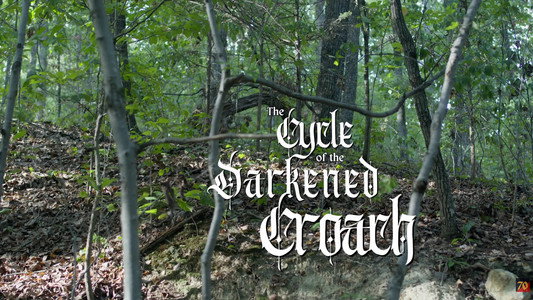 The Cycle of the Darkened Croach