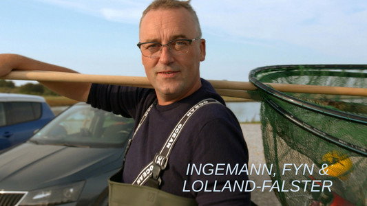 Ingemann, Fyn & Lolland-Falster