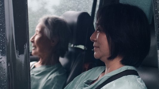 貓與雞