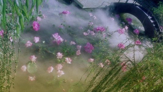 青蛇