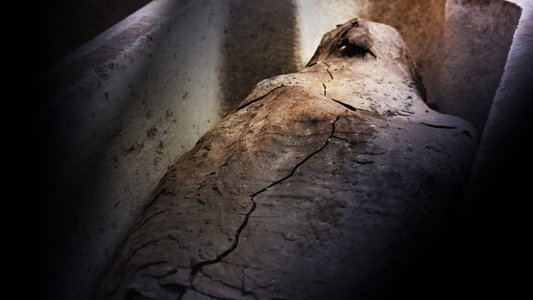 Kingdom of the Mummies
