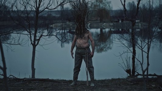 The Pond