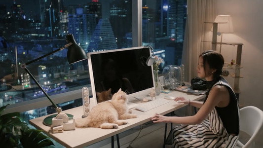 เงาใต้พระจันทร์