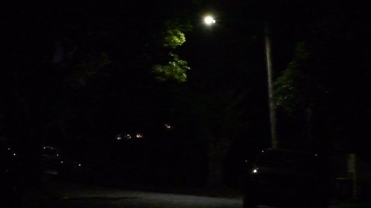 A Suburban Night's Dream
