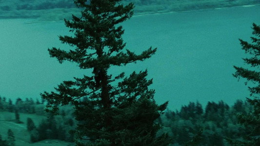 Twilight