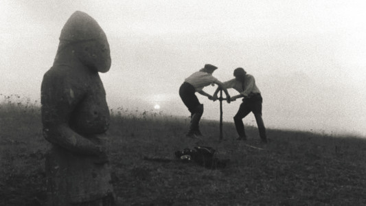 Цветок на камне