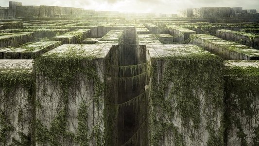 The Maze Runner