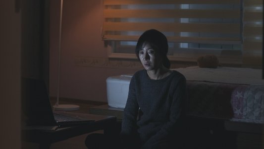 쇠파리