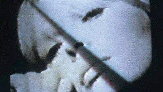 Nico: In Memoriam