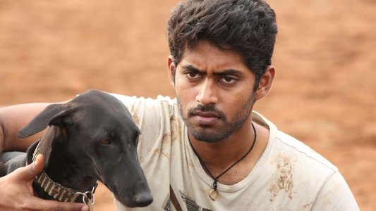 பரியேறும் பெருமாள்