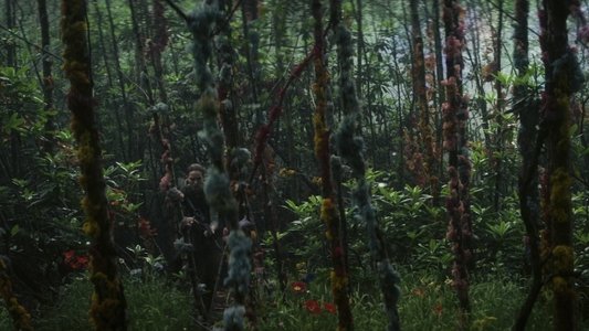 Annihilation