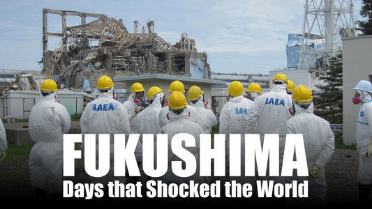 Fukushima: Days That Shocked the World