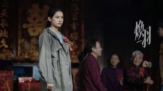 焕羽