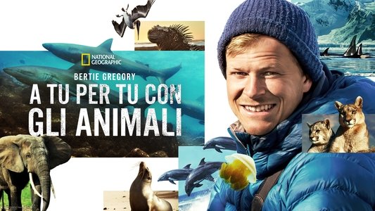 Animals Up Close with Bertie Gregory