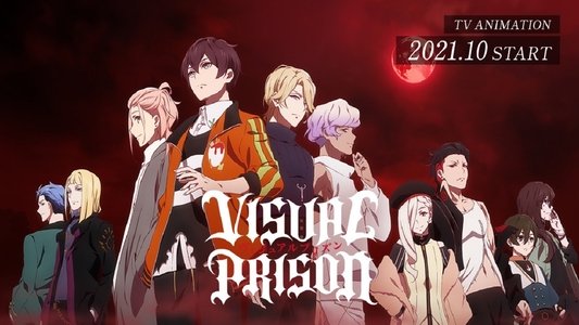 ヴィジュアルプリズン