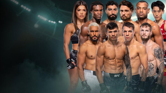 UFC 329: McGregor vs. Holloway 2