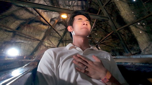 โปตัวปลอม