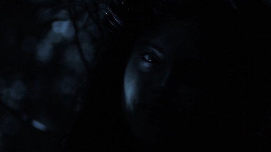 Nostos: il ritorno