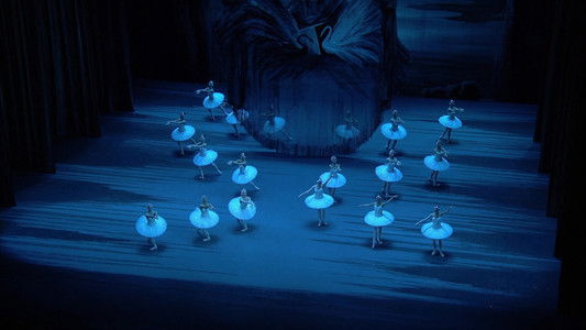 Tchaikovsky - Swan Lake (The Bolshoi Ballet Collection)
