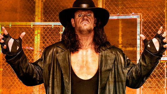 WWE Hell in a Cell 2009