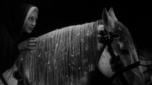 La Belle et la Bête