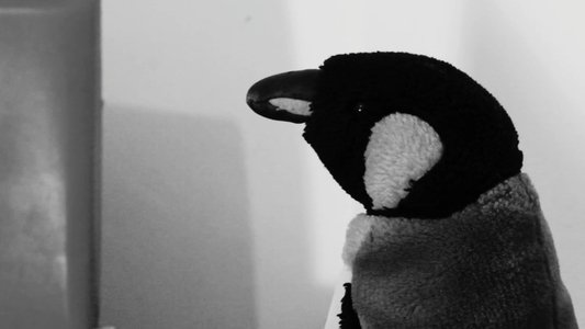 Filiberto Nitales: El Detective Rancio