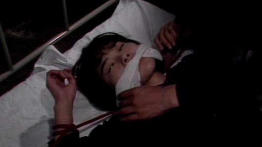 ギニーピッグ2 血肉の華