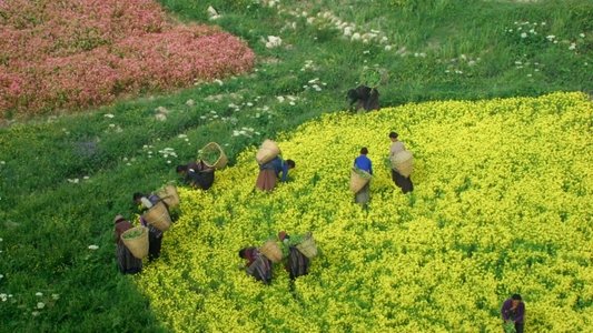 Nature : pour une réconciliation