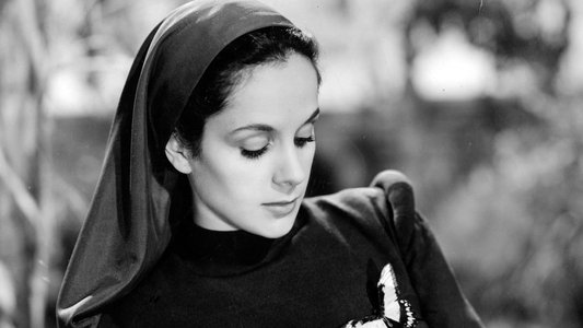 Rosa de América