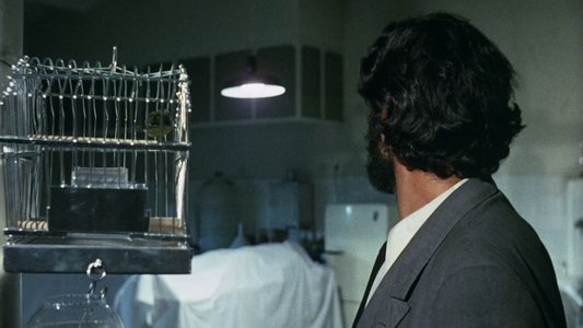 La noche del terror ciego