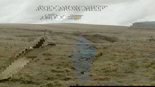 Wolf Among Sheep