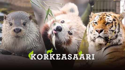 Korkeasaari