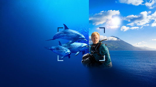 Dolphins Up Close with Bertie Gregory