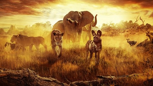 Surviving Paradise: A Family Tale