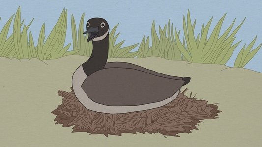 Hudson Geese