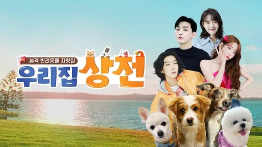 우리집 상전