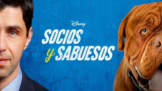 Turner & Hooch