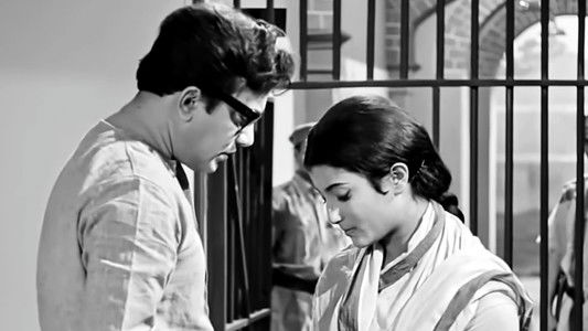 এখানে পিঞ্জর