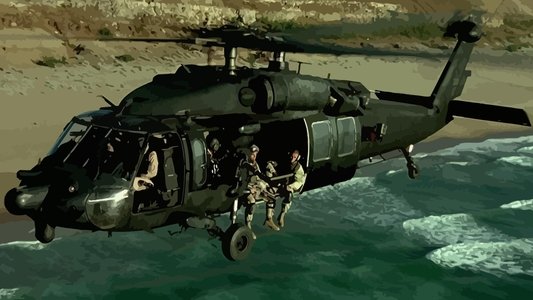 Black Hawk Down