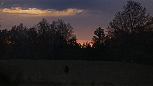 Halloween II