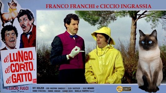 Il lungo, il corto, il gatto