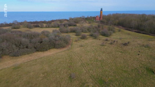 Rügen - Weiße Felsen, grüne Wälder